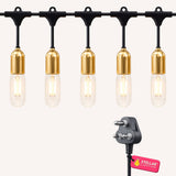 Ultimate Gold Drop String Lights flat lay showing warm golden T45 tubular bulbs on individual drop wires on black cable with South African 3-pin plug on a light background