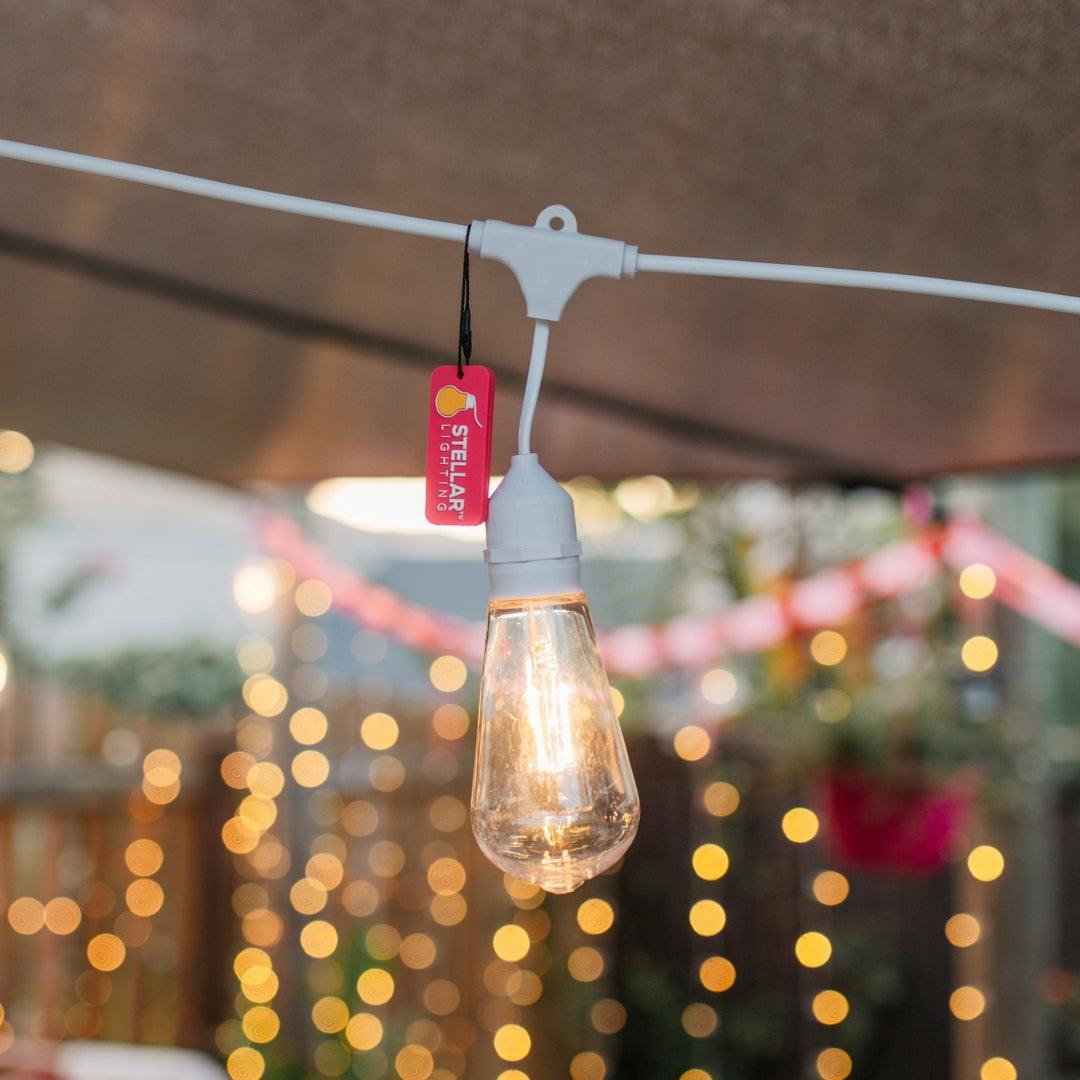 Close-up of warm white ST64 LED bulb on white drop wire with pink Stellar Lighting branded tag attached
