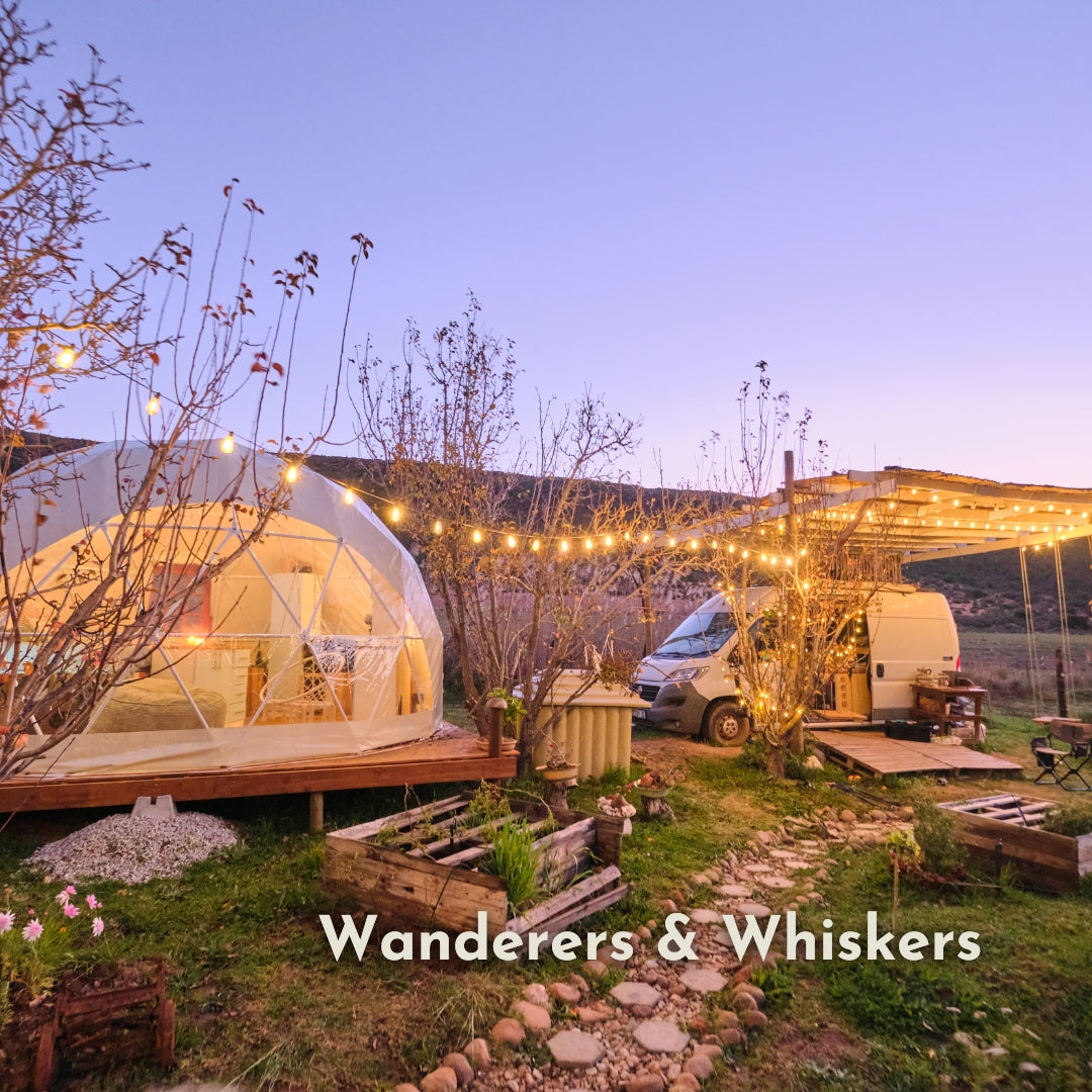 Vintage string lights strung across a glamping setup with dome tent and camper van at Wanderers and Whiskers at dusk