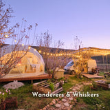 Vintage string lights strung across a glamping setup with dome tent and camper van at Wanderers and Whiskers at dusk