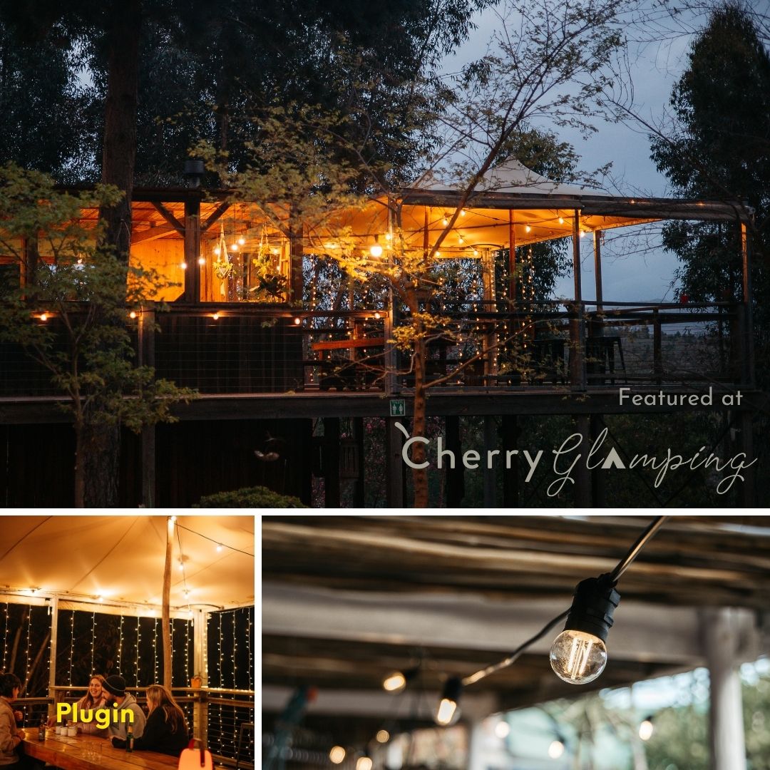 Stellar Lighting 10 LED Festoon Retro Bulb String Lights - 10m Warm White Outdoor String Lights Stellar Lighting 10 LED Festoon Retro Bulb String Lights - 10m Warm White Outdoor String Lights in South Africa