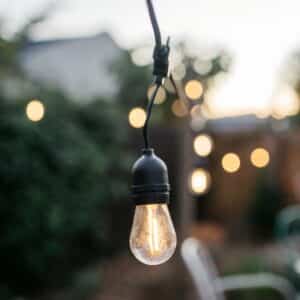 Stellar Lighting Drop String Lights with 20 warm white S14 bulbs on a black cable, 20 metres in length
