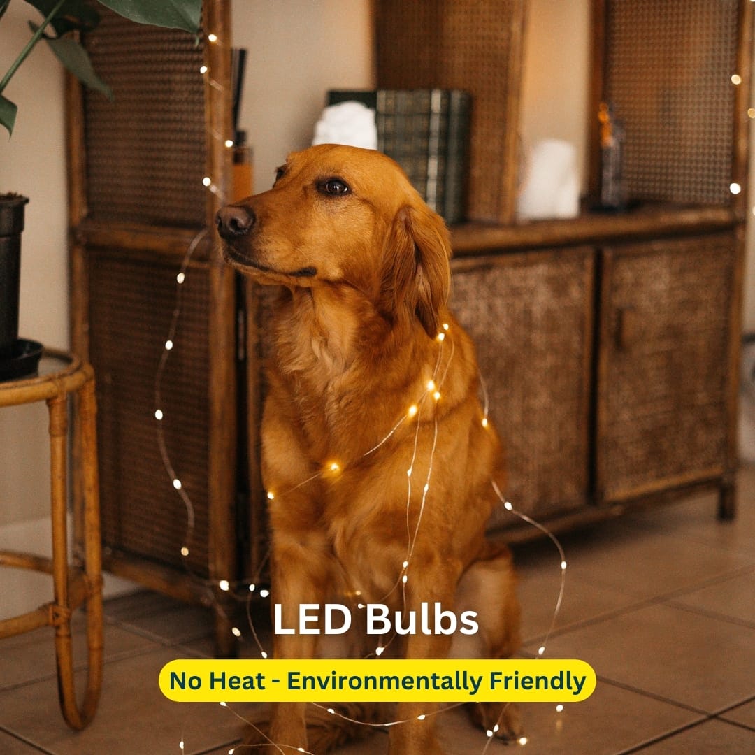YIFMOO LED-lichtsnoer USB, 10 m 100 LED waterdicht lichtsnoer met schakelaar, micro koperdraad lichtsnoer voor binnen en buiten voor DIY, Kerstmis, kamer, feest, bruiloft, decoratie, warmwit (2 stuks
