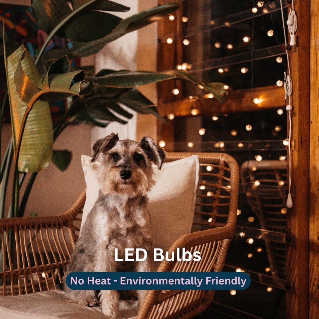 50 LED Solar Bubble Ball Fairy Lights glowing in an outdoor garden setting