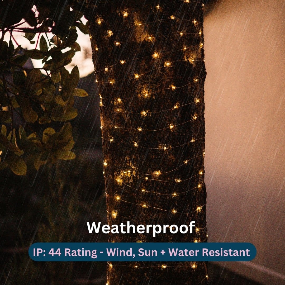 Solar-powered fairy lights wrapped around tree branches