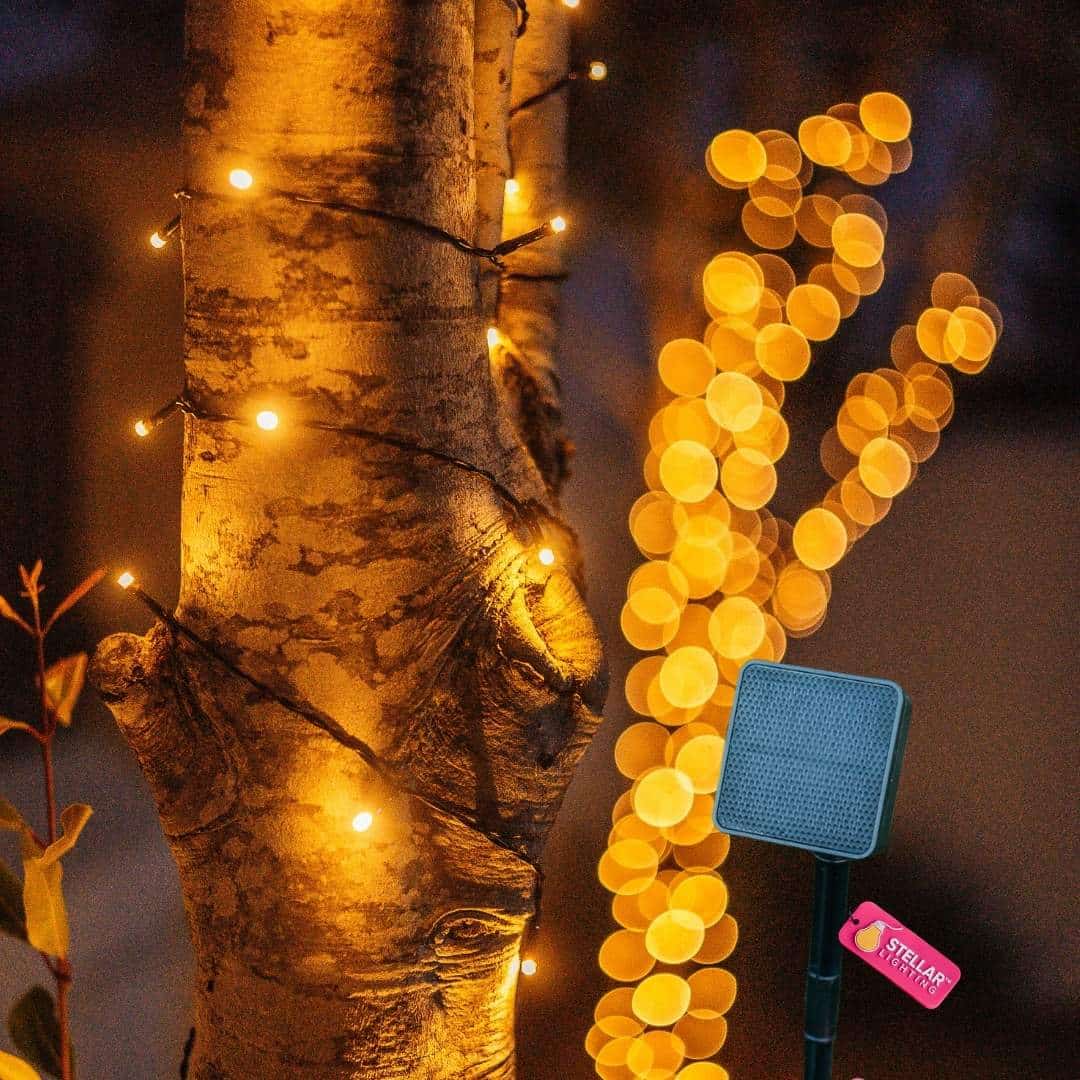 20m Solar Fairy Lights glowing in a garden setting