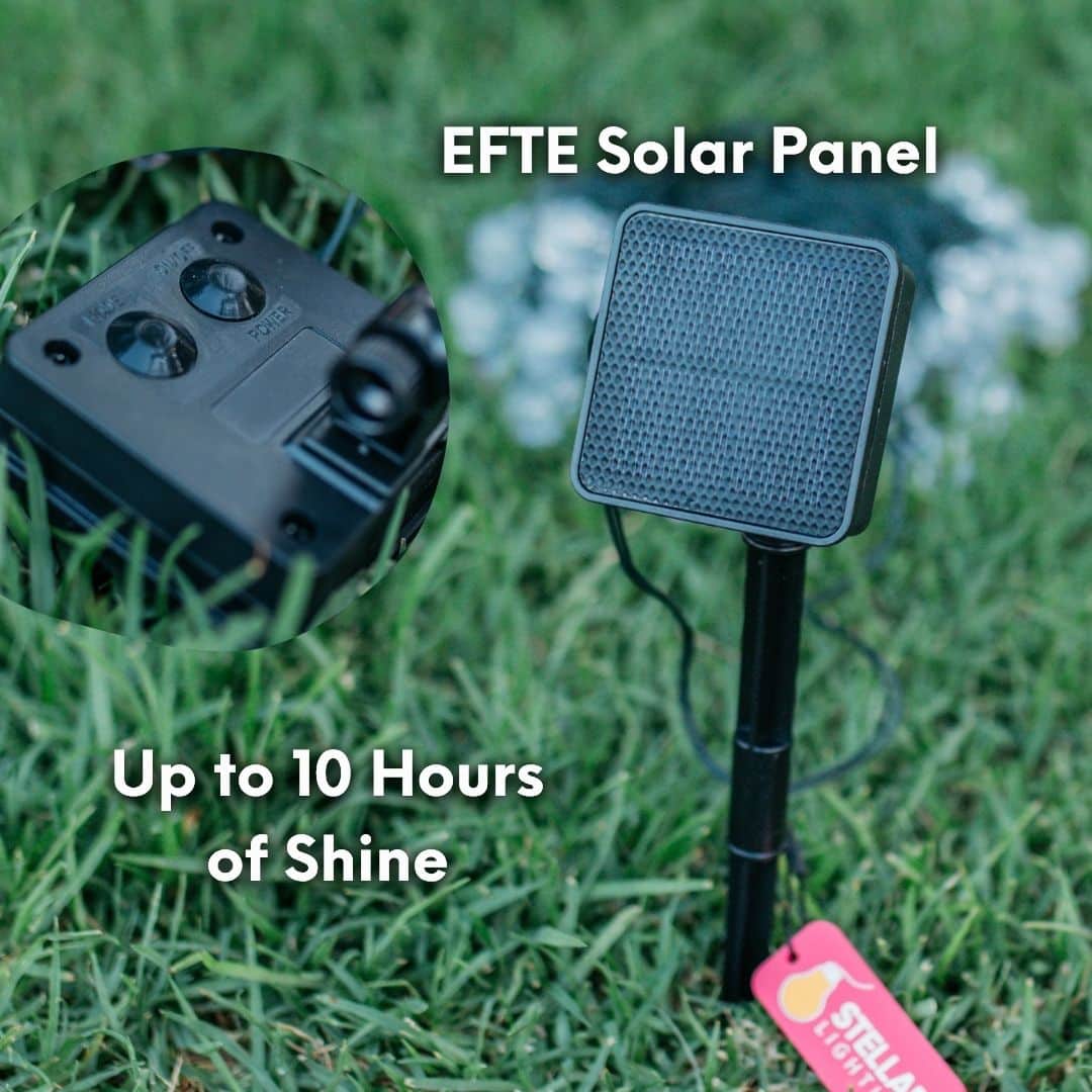 20m Solar Fairy Lights glowing in a garden setting