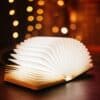 Rechargeable Novelty LED Book Night Light by Stellar Lighting