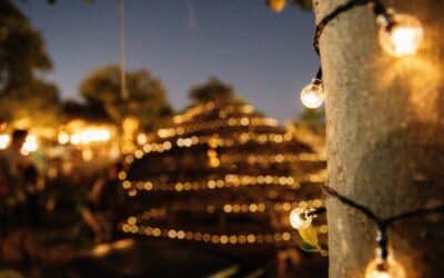 Would Fairy Lights Add Value to My Garden? Here’s What You Need To Know!