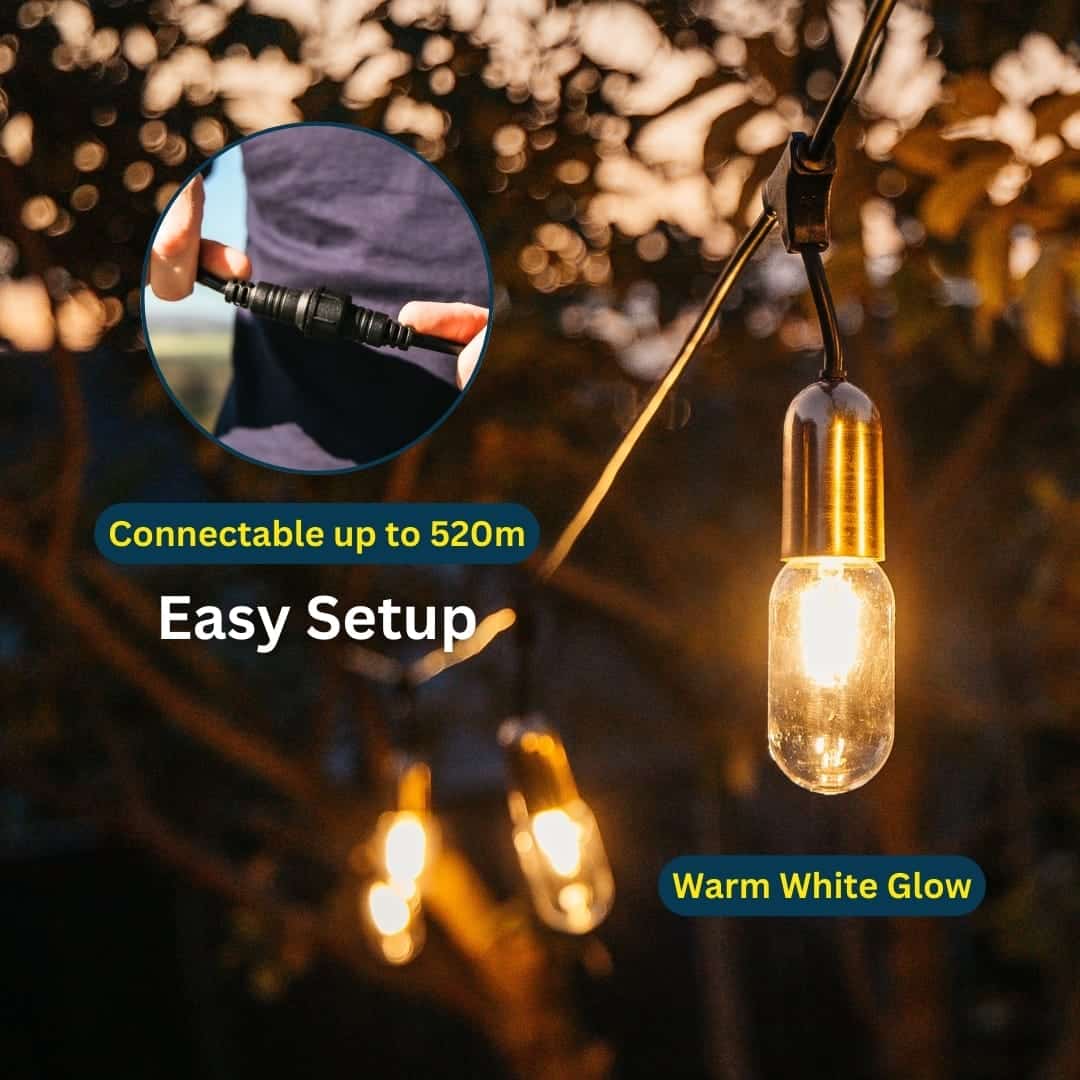 10m 10 LED Festoon Gold Antique Tubular Drop String Lights Outdoor