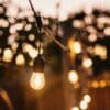 Stellar Lighting Drop String Lights with 40 warm white S14 bulbs on a black cable, 20 metres in length