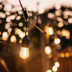 Stellar Lighting Drop String Lights with 40 warm white S14 bulbs on a black cable, 20 metres in length