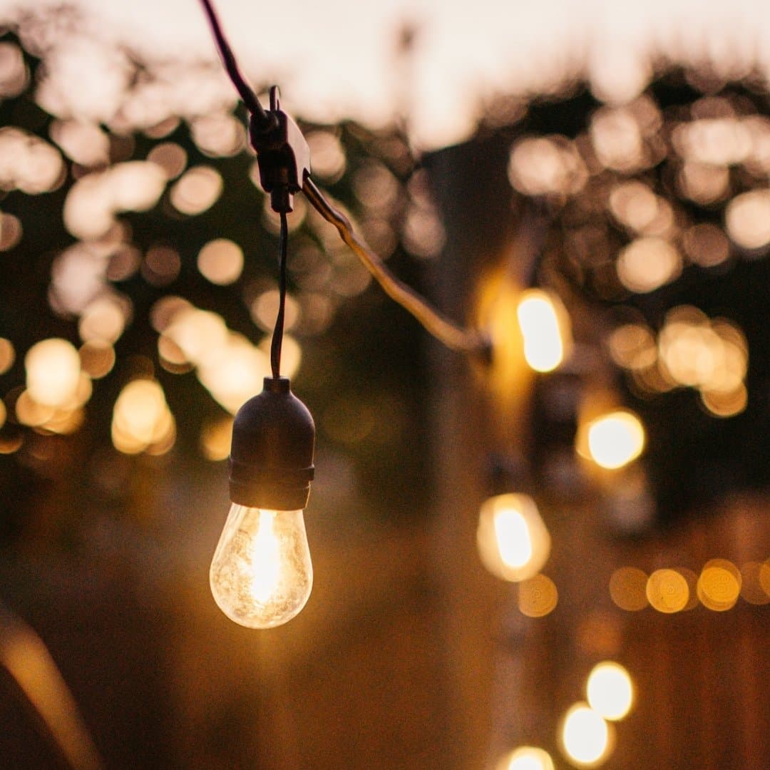 Stellar Lighting Drop String Lights with 40 warm white S14 bulbs on a black cable, 20 metres in length