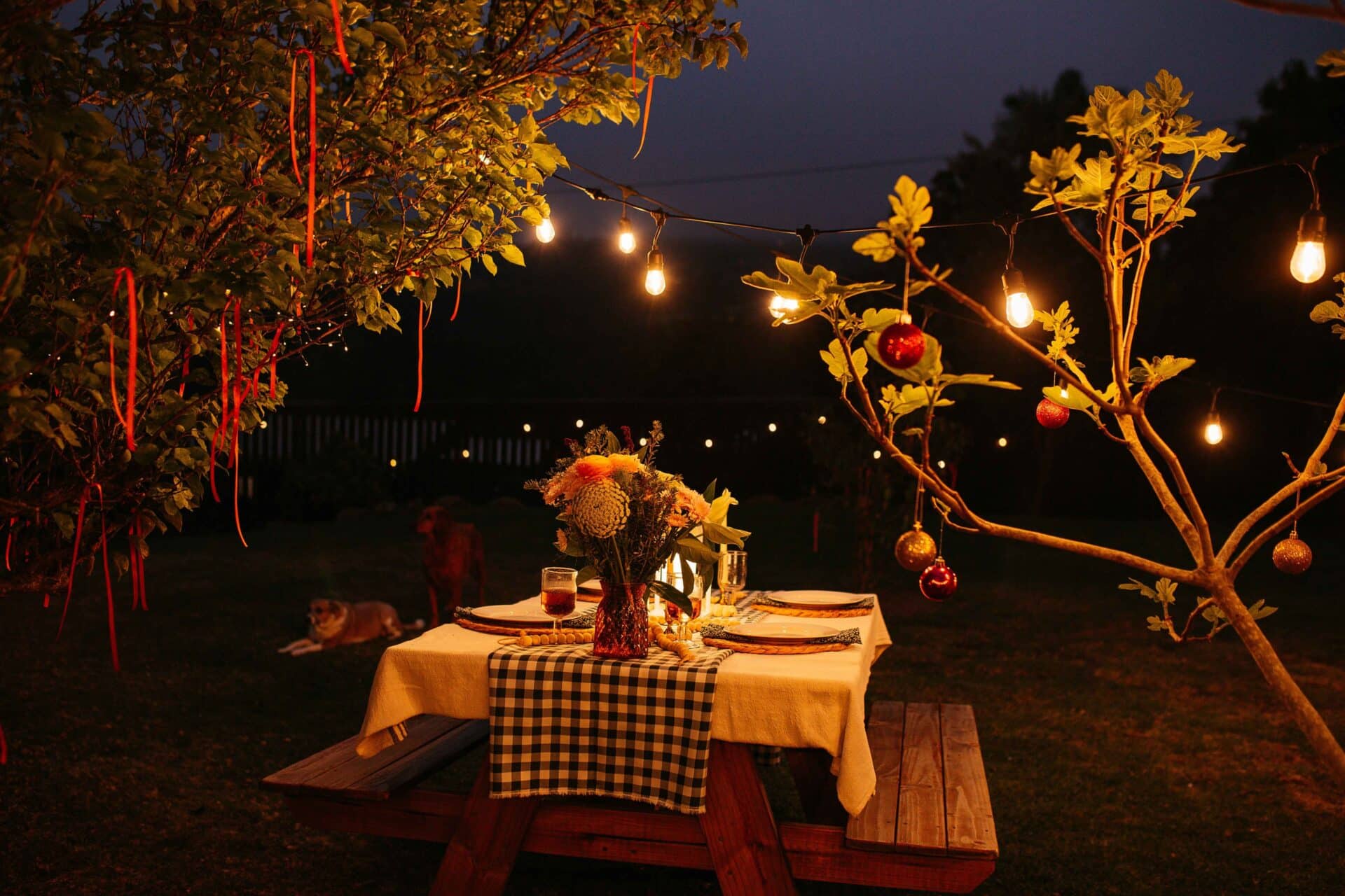 Warm white 10m plug-in festoon string lights by Stellar Lighting hanging over an outdoor dining area in South Africa.