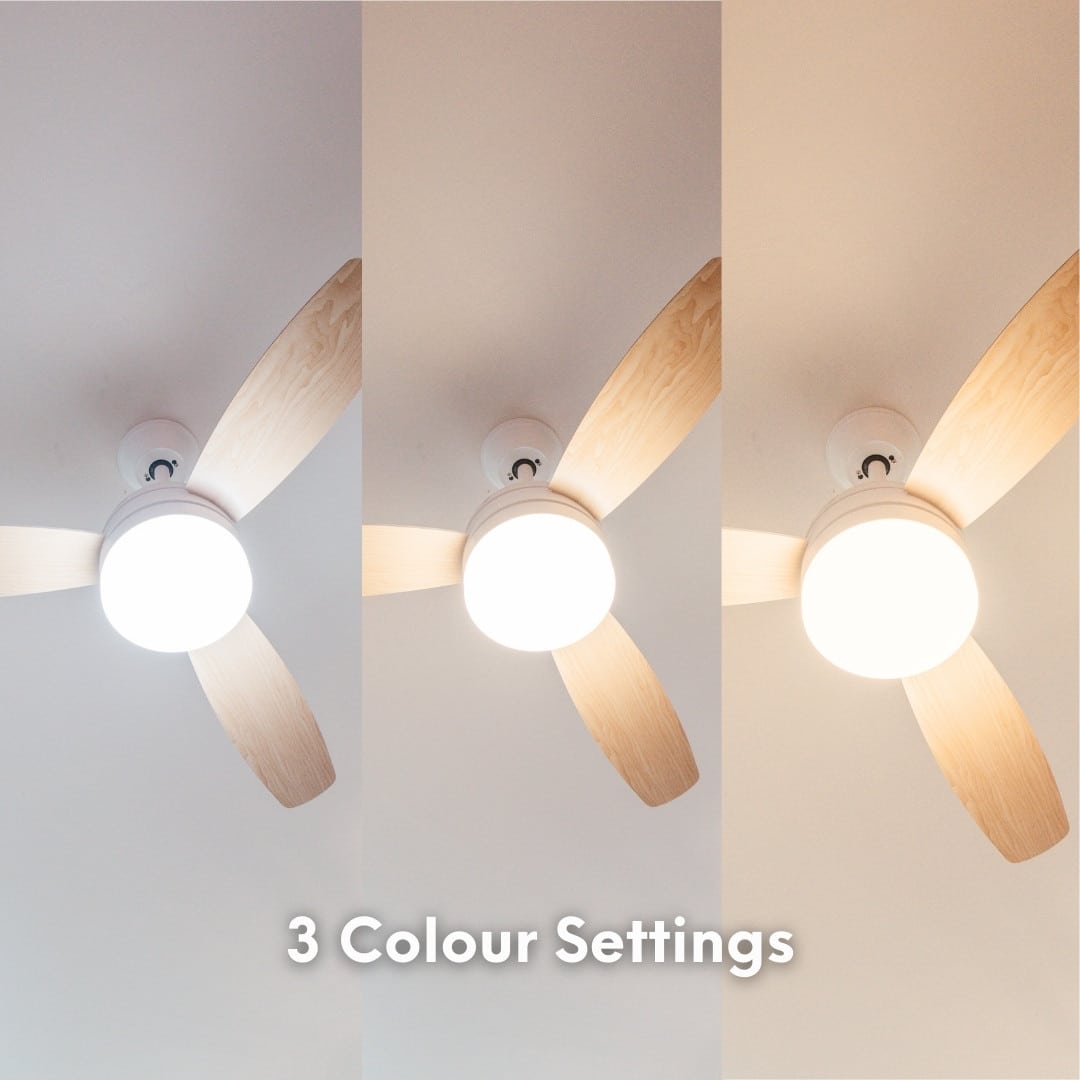 Modern ceiling fan from Stellar Lighting in South Africa