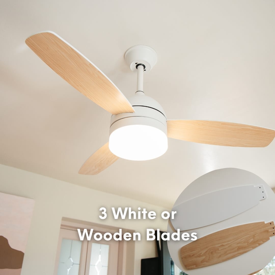 Modern ceiling fan from Stellar Lighting in South Africa