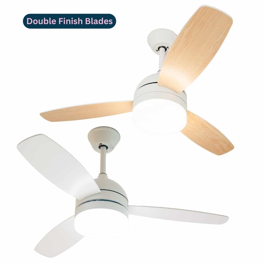 Modern ceiling fan from Stellar Lighting in South Africa