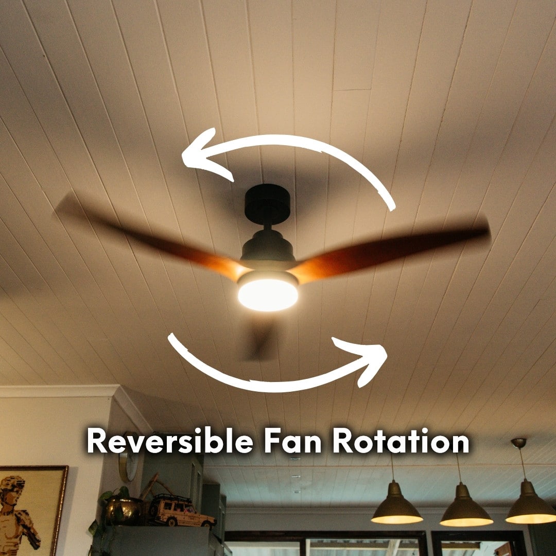 52-inch ceiling fan with light and remote control, featuring three dark brown oak blades.