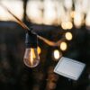 Warm white solar festoon string lights creating a cosy outdoor glow.