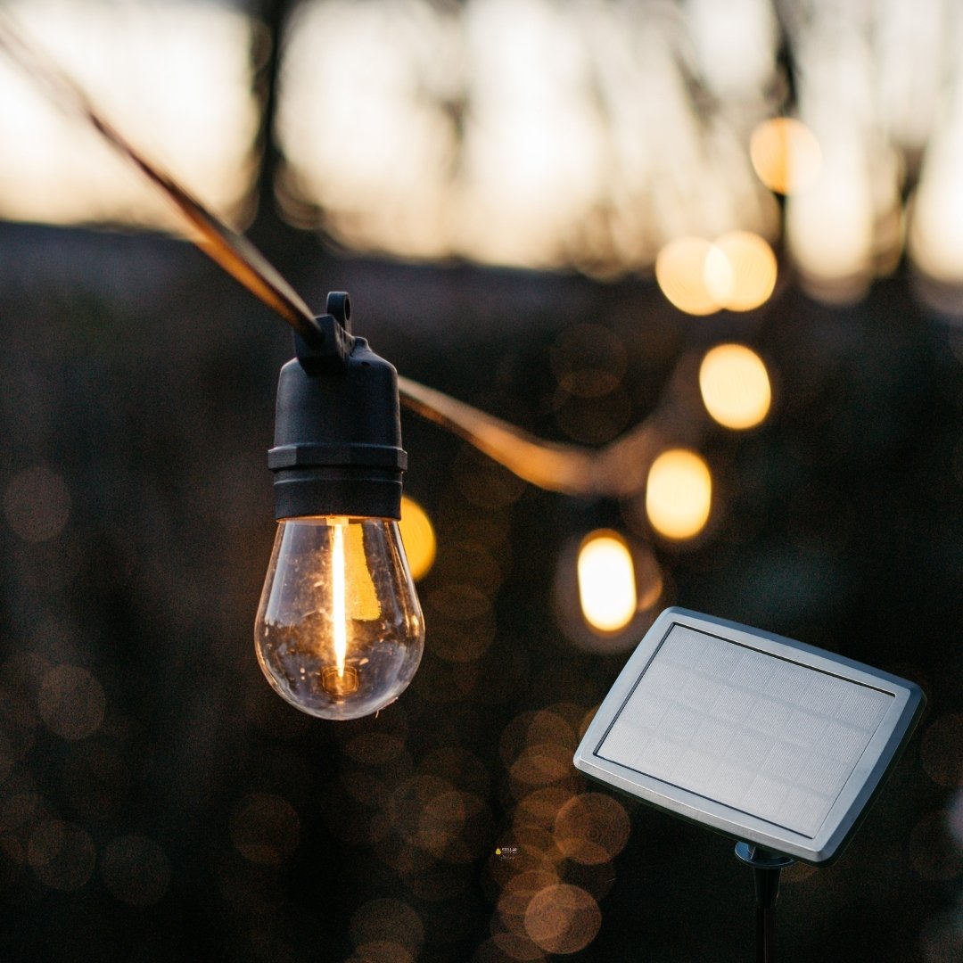 Warm white solar festoon string lights creating a cosy outdoor glow.