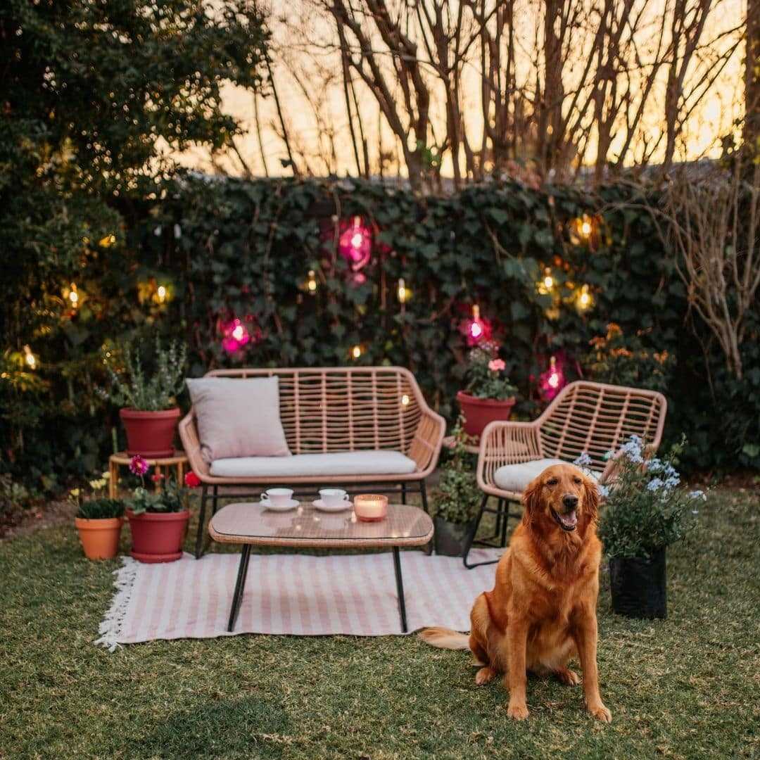 Four flamingo-pink LED bulbs with gold drop string lights styled for a warm indoor glow.
