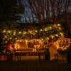 Date Night Light – Solar String Lights & Candles Romantic solar fairy lights, bubble lights, and flickering tea lights glowing under a tree.