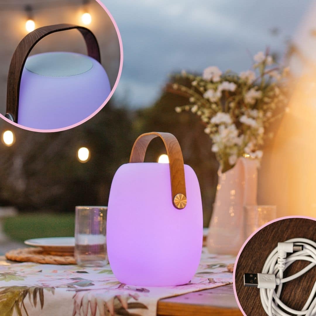 The Entertainer's Bundle – Festoon Drop Lights & Lantern Speaker Outdoor string lights and speaker lantern illuminating a braai area at dusk.