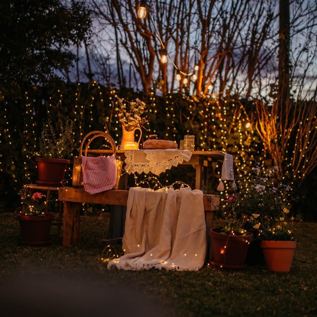 Warm white copper wire fairy lights and classic solar festoon string lighting a lush garden path.