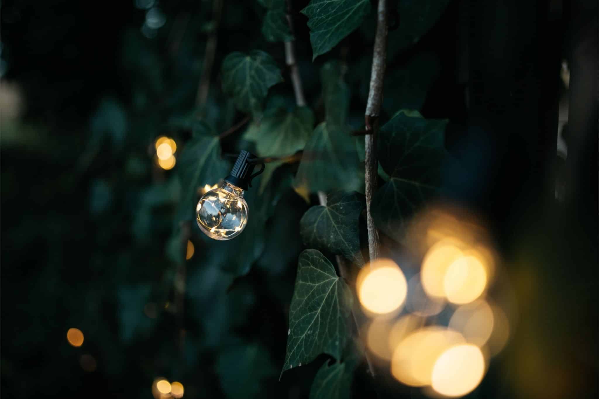 Romantic solar fairy lights, bubble lights, and flickering tea lights glowing under a tree.