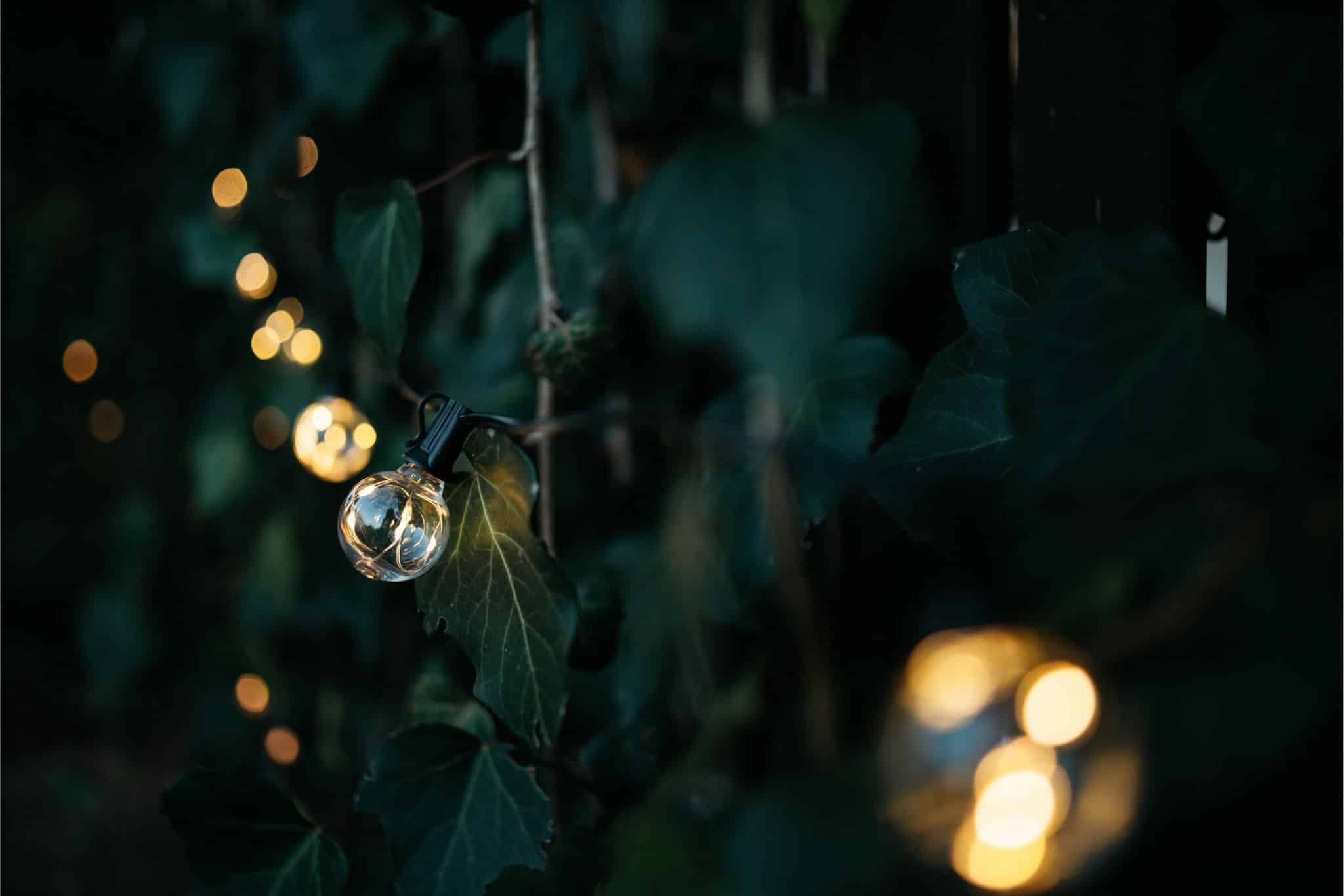 Romantic solar fairy lights, bubble lights, and flickering tea lights glowing under a tree.