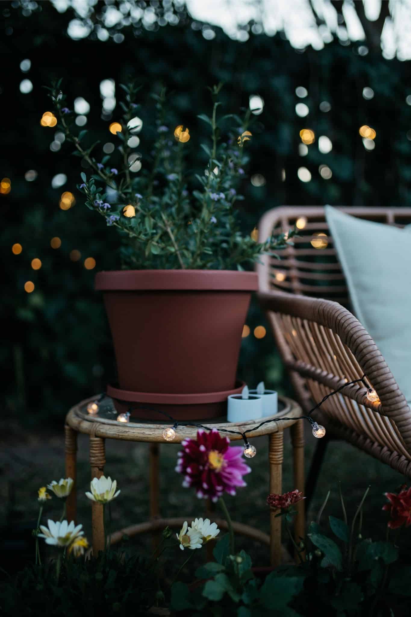 Romantic solar fairy lights, bubble lights, and flickering tea lights glowing under a tree.