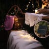 Warm white copper wire fairy lights and classic solar festoon string lighting a lush garden path.