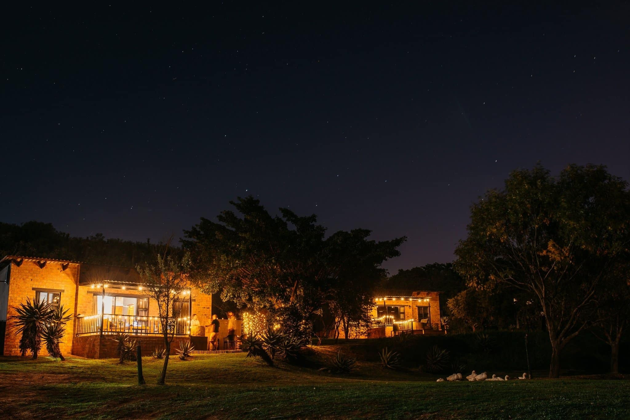 Outdoor string lights creating a warm, inviting glow for homeowners entertaining guests