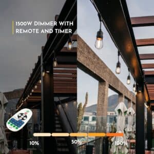 LED Dimmer Controller with RF remote for Stellar Lighting Festoon String Lights