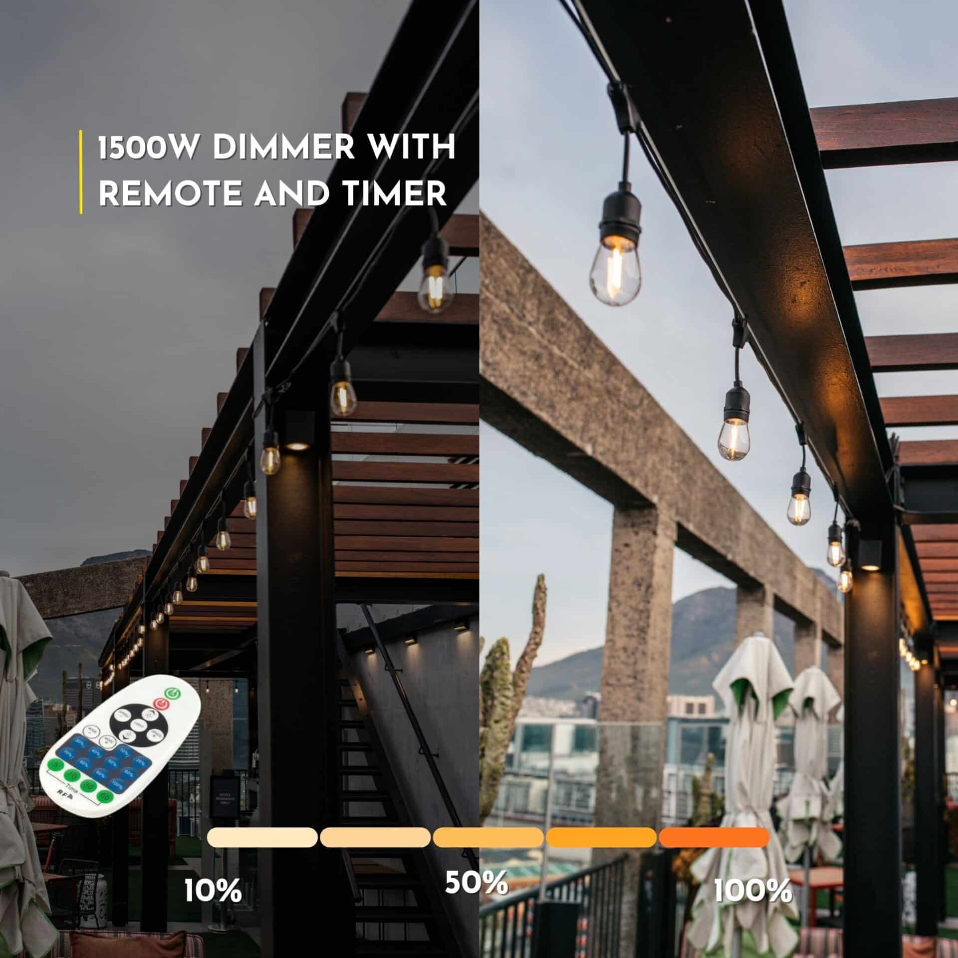 LED Dimmer Controller with RF remote for Stellar Lighting Festoon String Lights