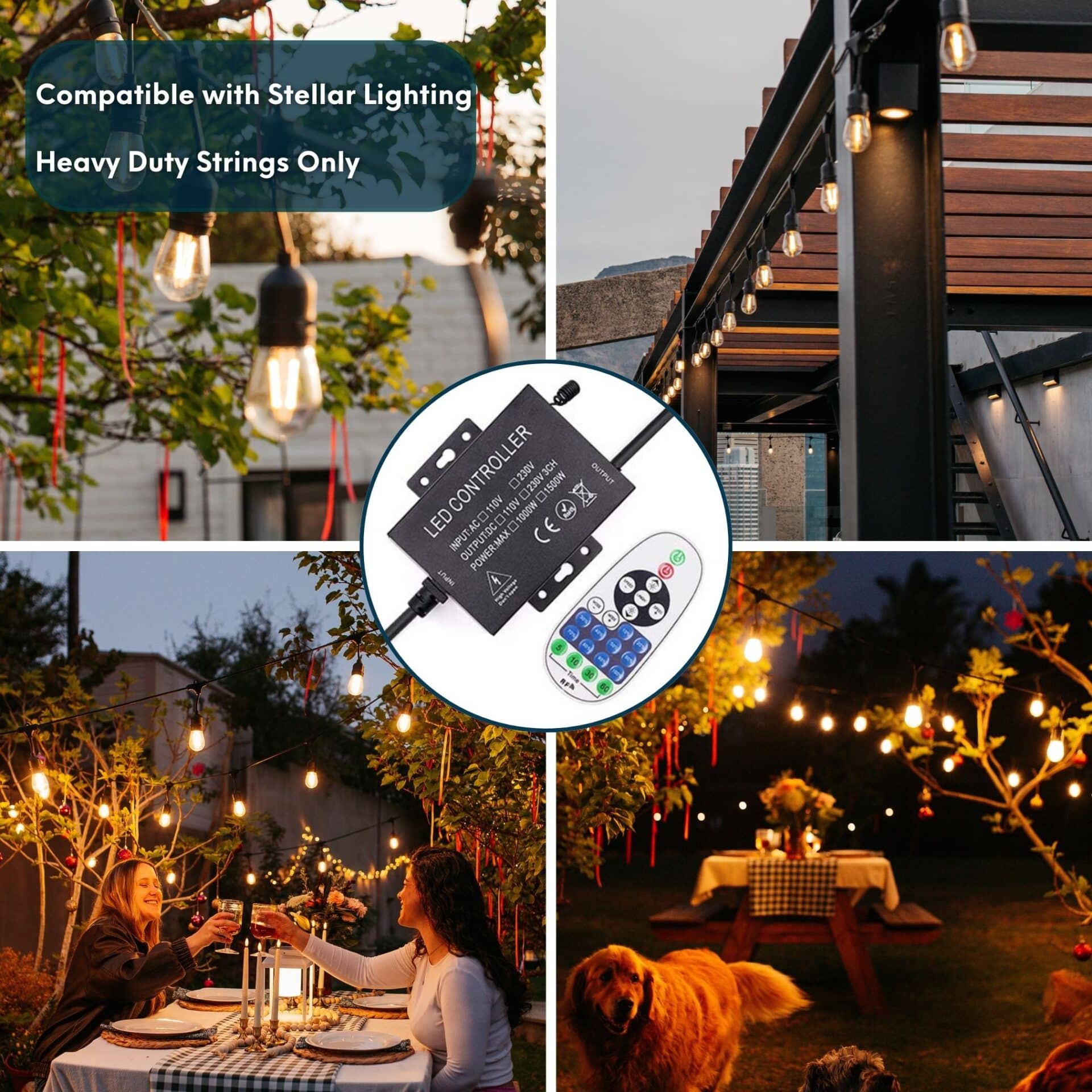 LED Dimmer Controller with RF remote for Stellar Lighting Festoon String Lights