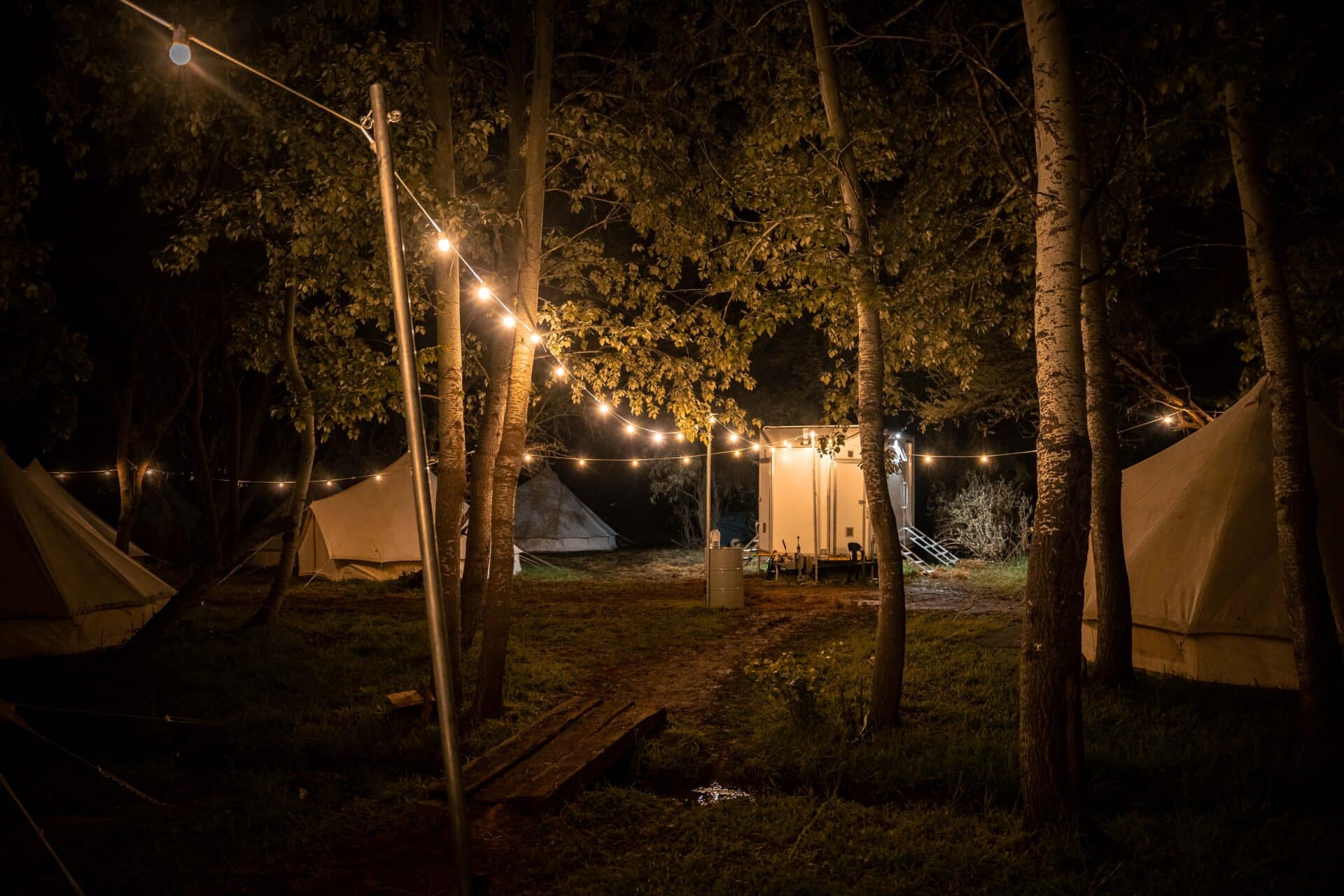 Festoon string lights glowing at Ride the Karoo campsite at sunset