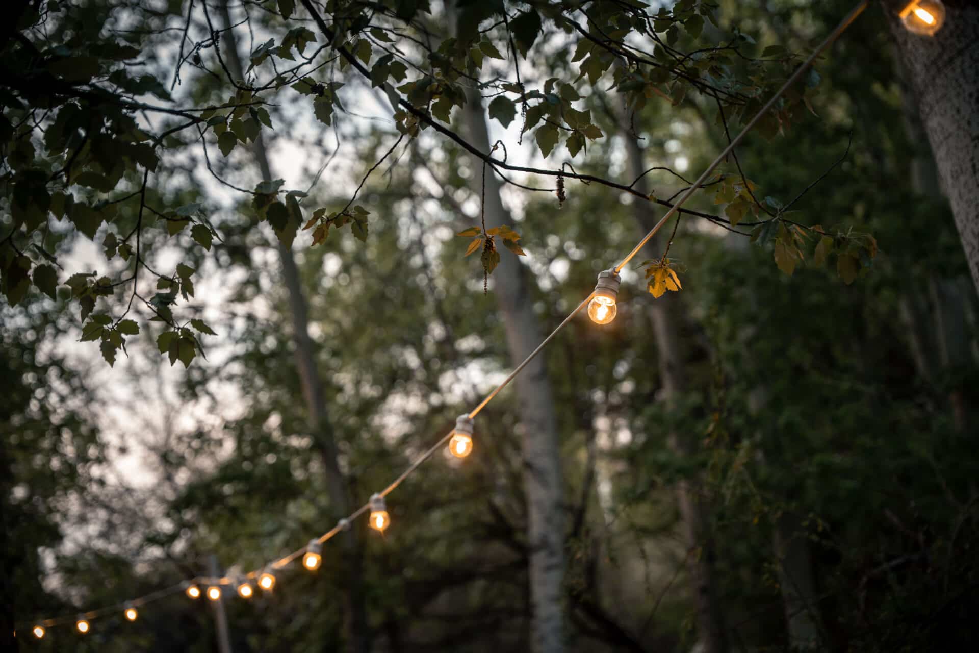 Festoon string lights glowing at Ride the Karoo campsite at sunset