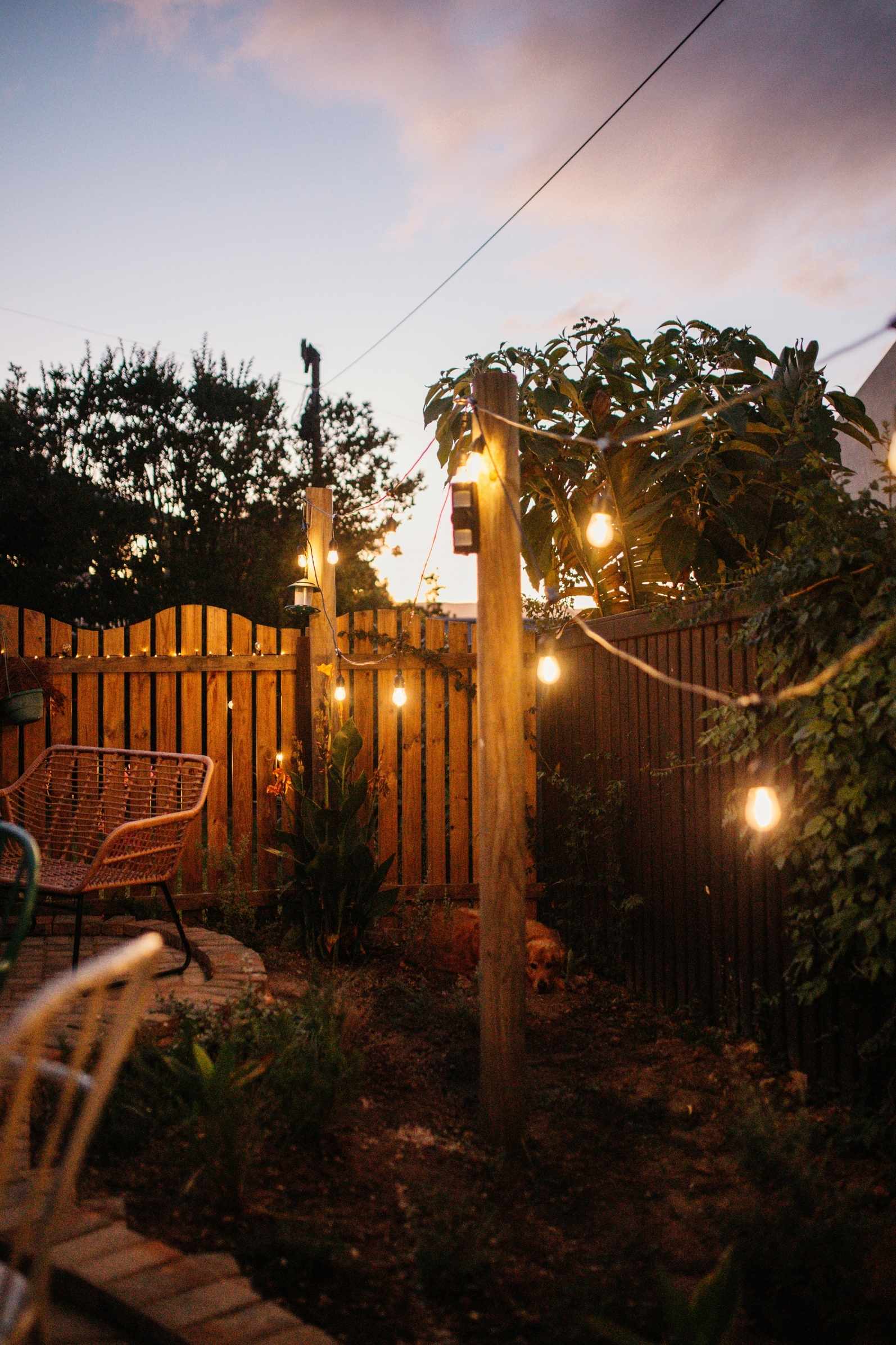 15m Solar 15 LED Festoon Heavy Duty Vintage Bulb String Lights