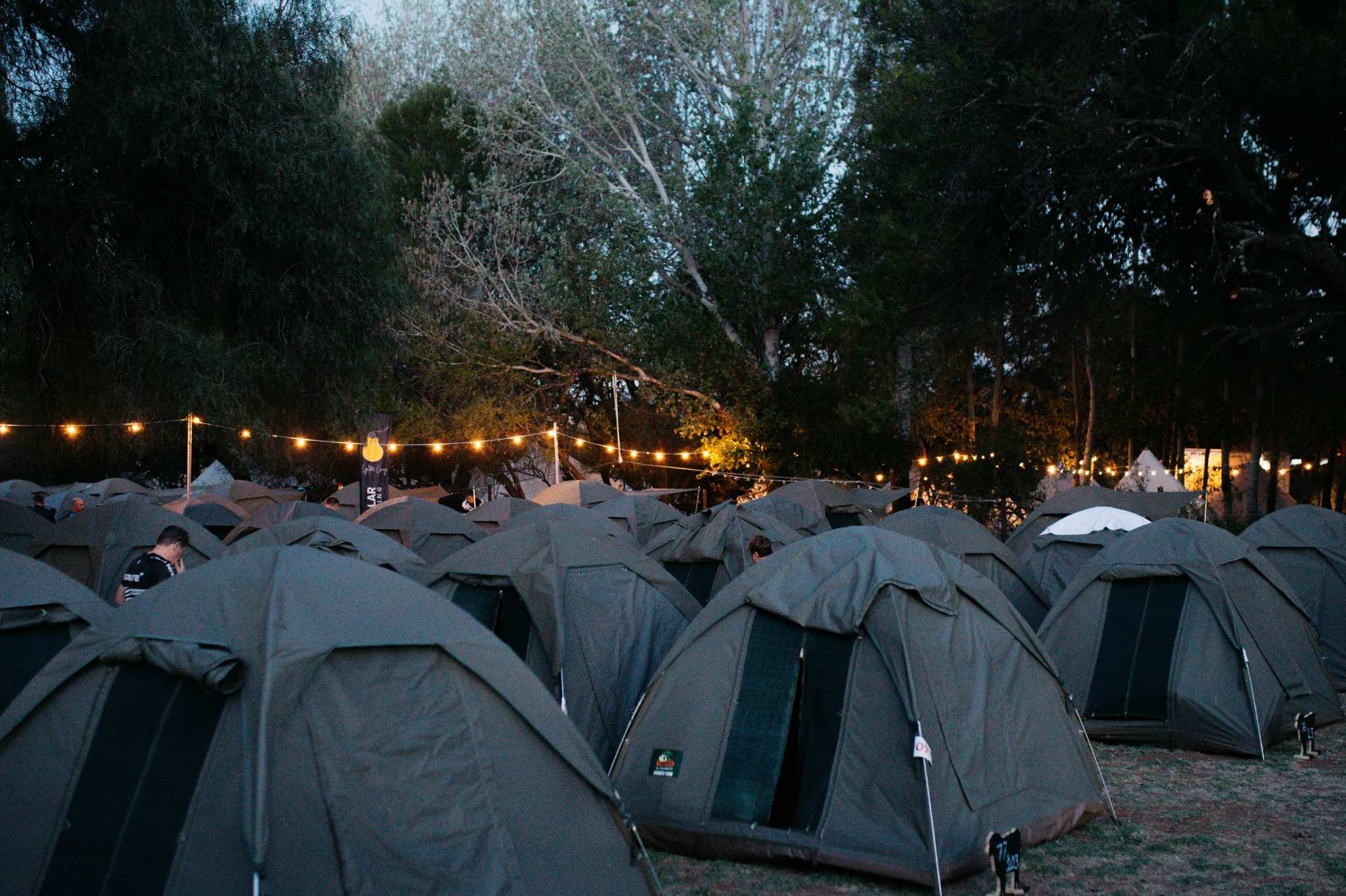 Festoon string lights glowing at Ride the Karoo campsite at sunset