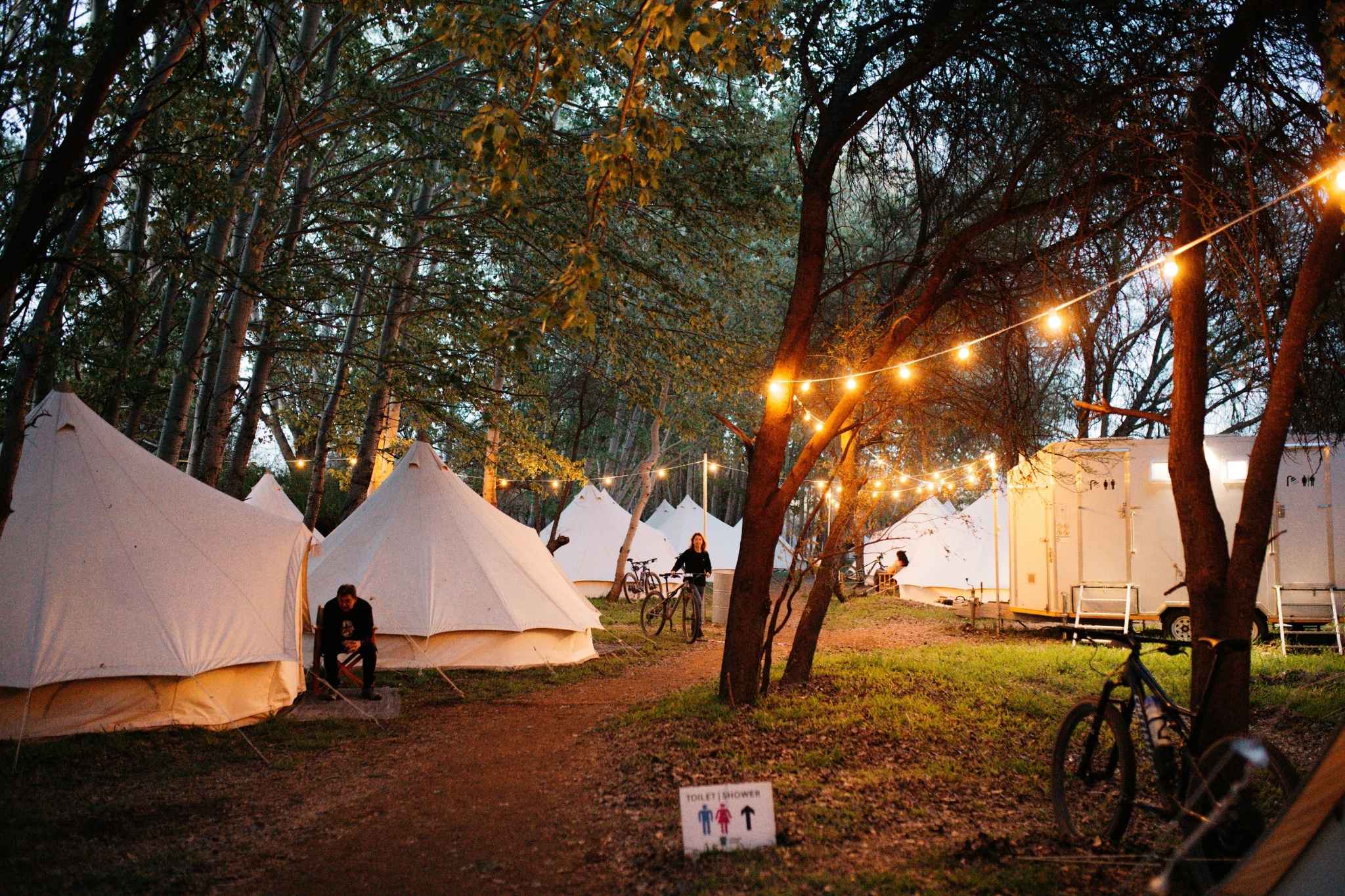 Festoon string lights glowing at Ride the Karoo campsite at sunset