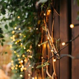 30m heavy duty warm white fairy lights showing the thick dark green cable and dense LED spacing against a fence.