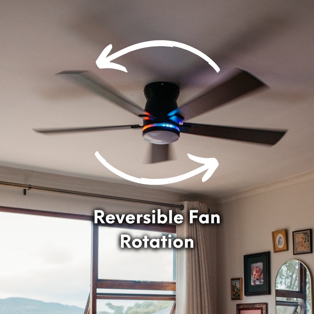 52 inch black wood smart LED ceiling fan with DC motor and RGB tri colour lighting.