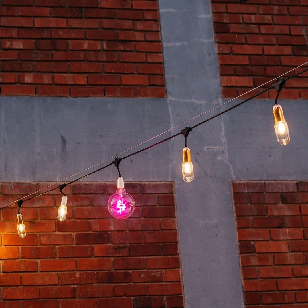 Gold Drop String Lights and Pink Flamingo Bulbs creating a warm, glowing atmosphere at Hazy Cane launch