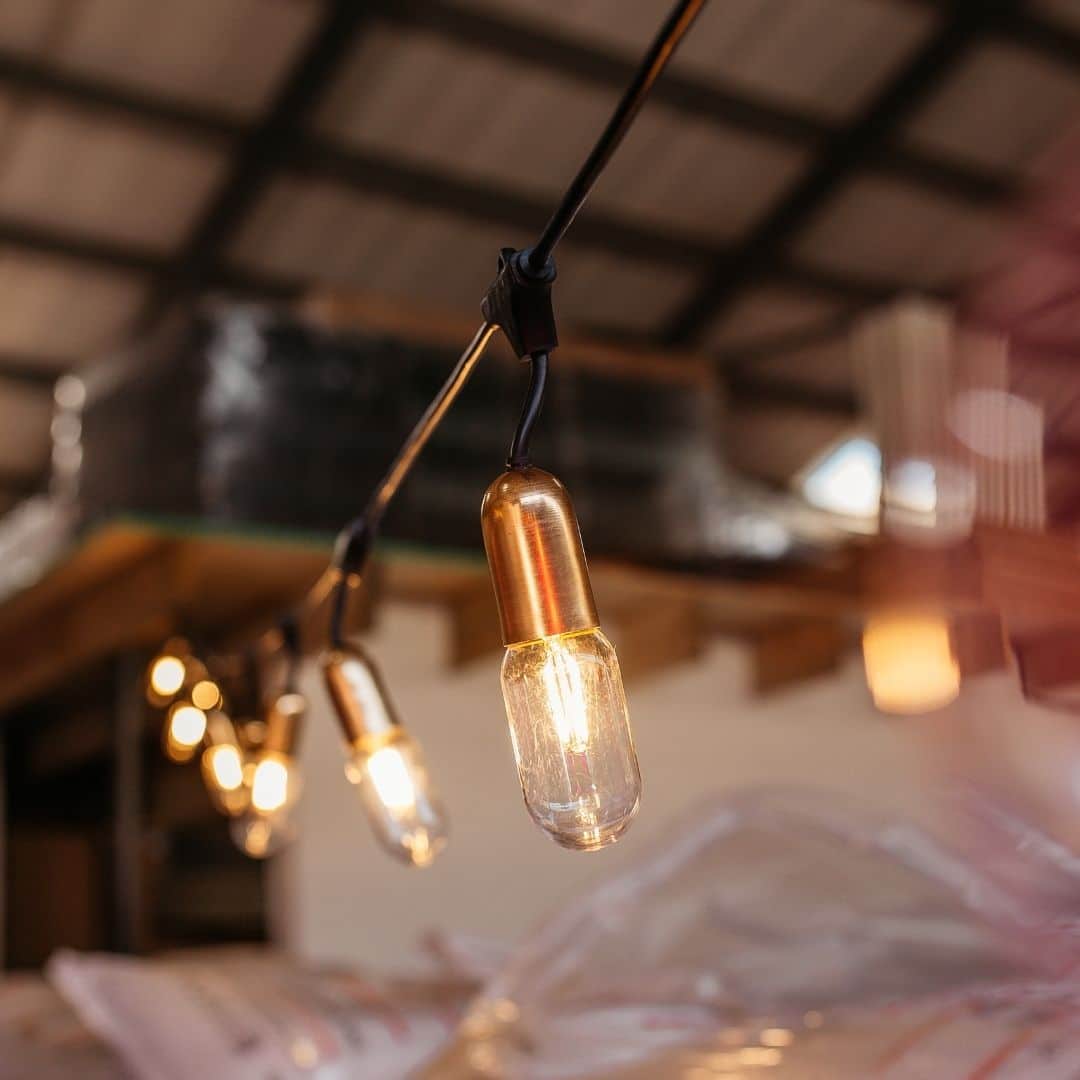 Gold Drop String Lights and Pink Flamingo Bulbs creating a warm, glowing atmosphere at Hazy Cane launch