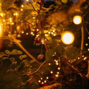 10 m heavy-duty fairy light string with 100 warm white LEDs and 3 m extension lead.