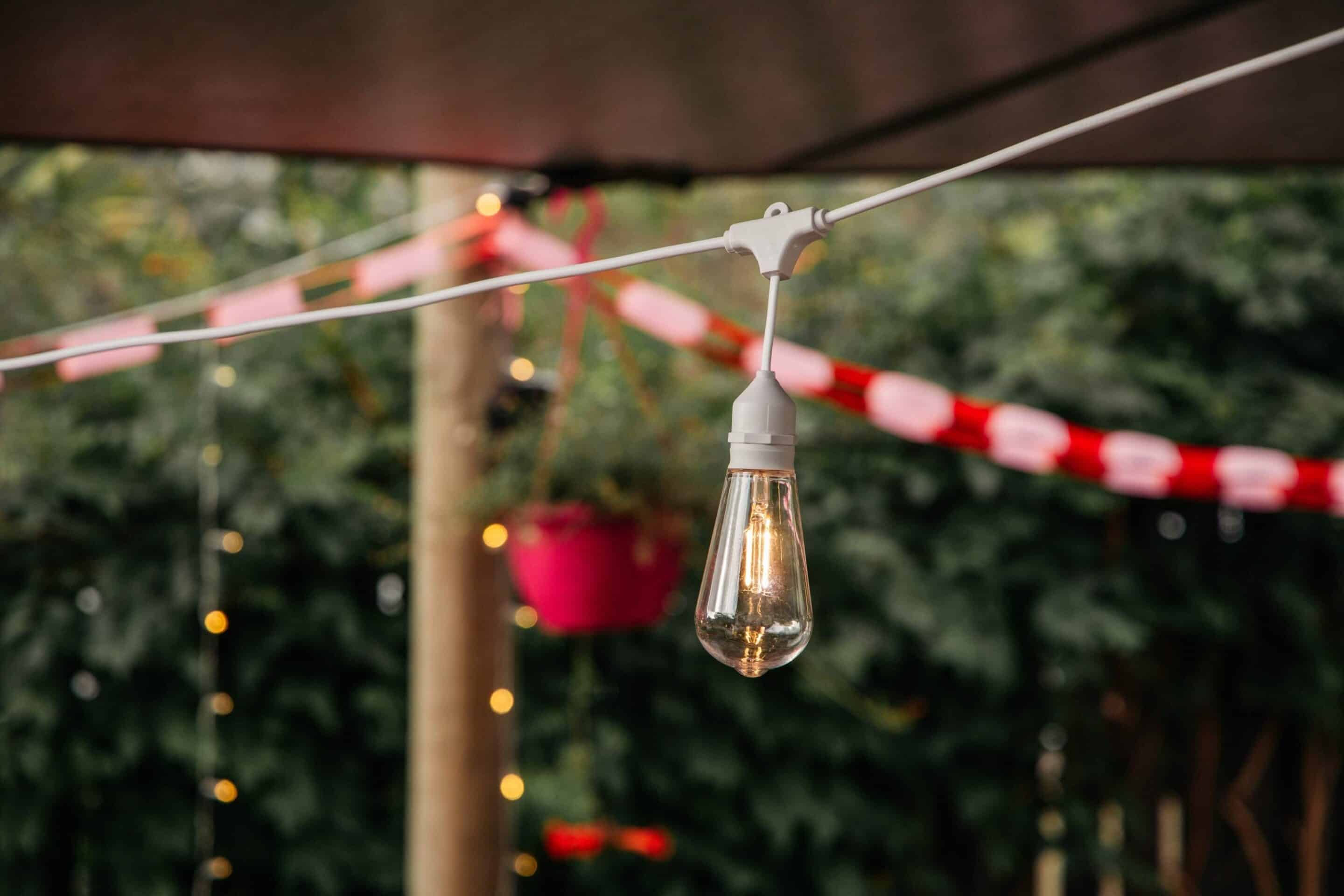 Festoon string lights creating a romantic Valentine’s Day garden atmosphere