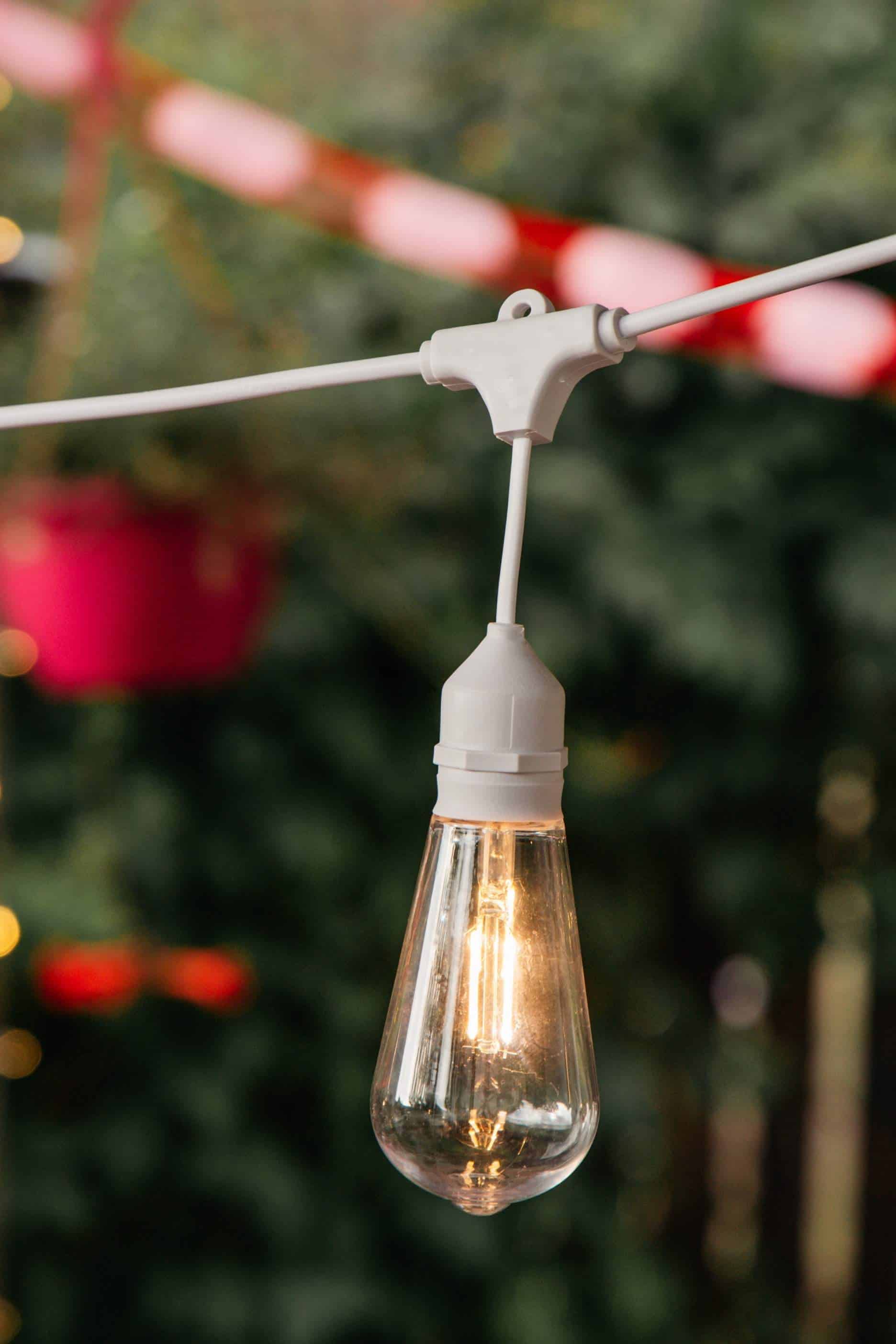 Festoon string lights creating a romantic Valentine’s Day garden atmosphere