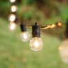 Close-up of a warm white G40 globe bulb on black cable hanging outdoors against a soft green bokeh background
