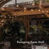 Classic String Lights Pro strung beneath a wooden pergola roof at Peregrine Farm Stall with customers seated below